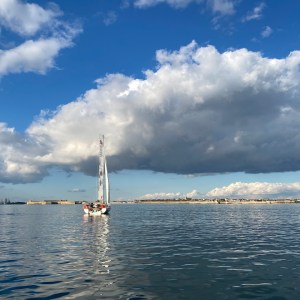 Plastimo-Lorient Race: D-4